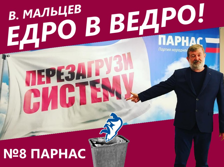 Партия народ свободы. Едро в ведро. Парнас партия. Партия народной свободы. Политическая партия Парнас.