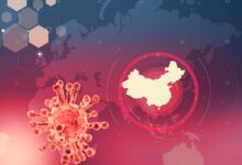 Спустя два месяца (!) после начала эпидемии китайского коронавируса правительство РФ наконец-то запретило въезд гражданам КНР