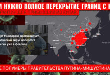 “Нам нужно полное перекрытие границ с КНР и карантин для прибывших из Китая, а не полумеры правительства Путина-Мишустина”